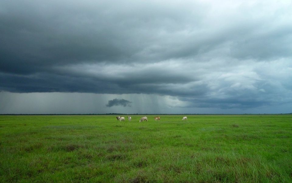 A storm building over open pasture
