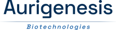 Aurigenesis